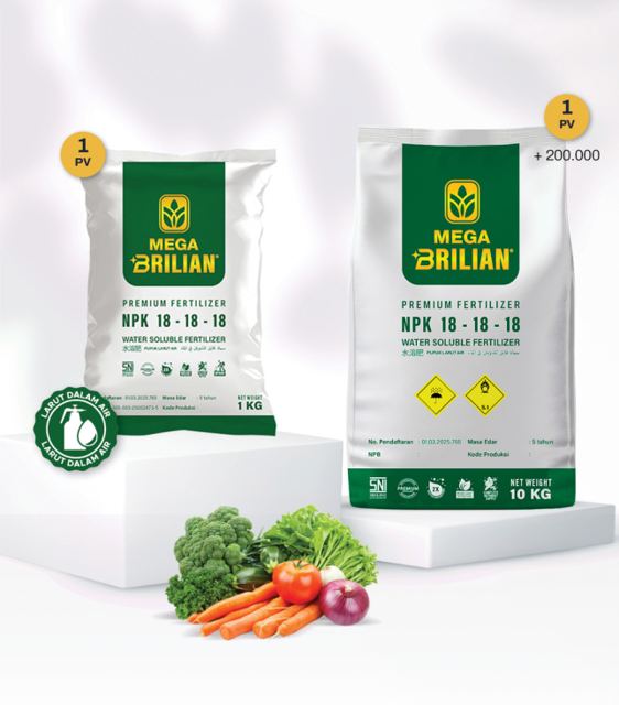 Mega Brilian 10 kg