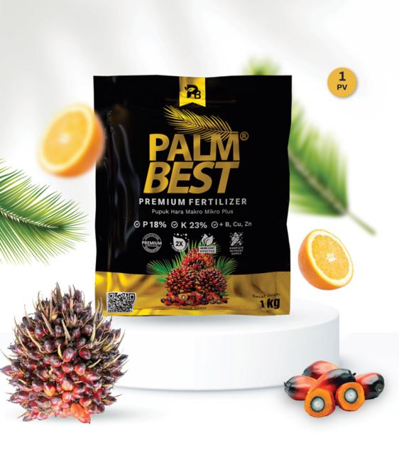 Palm Best