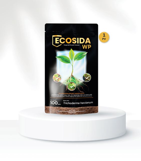 Ecosida WP