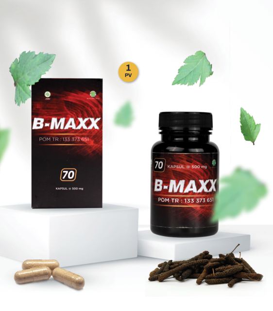 B-Maxx